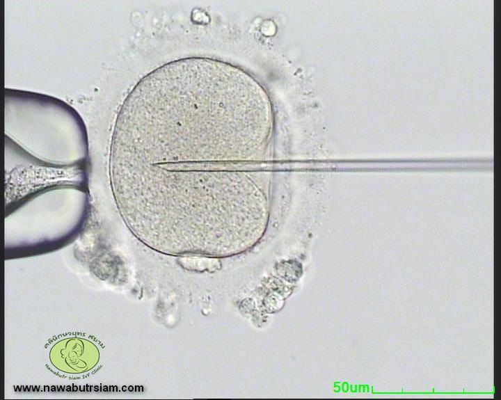 14355094 906759649468926 1830764906811212021 n