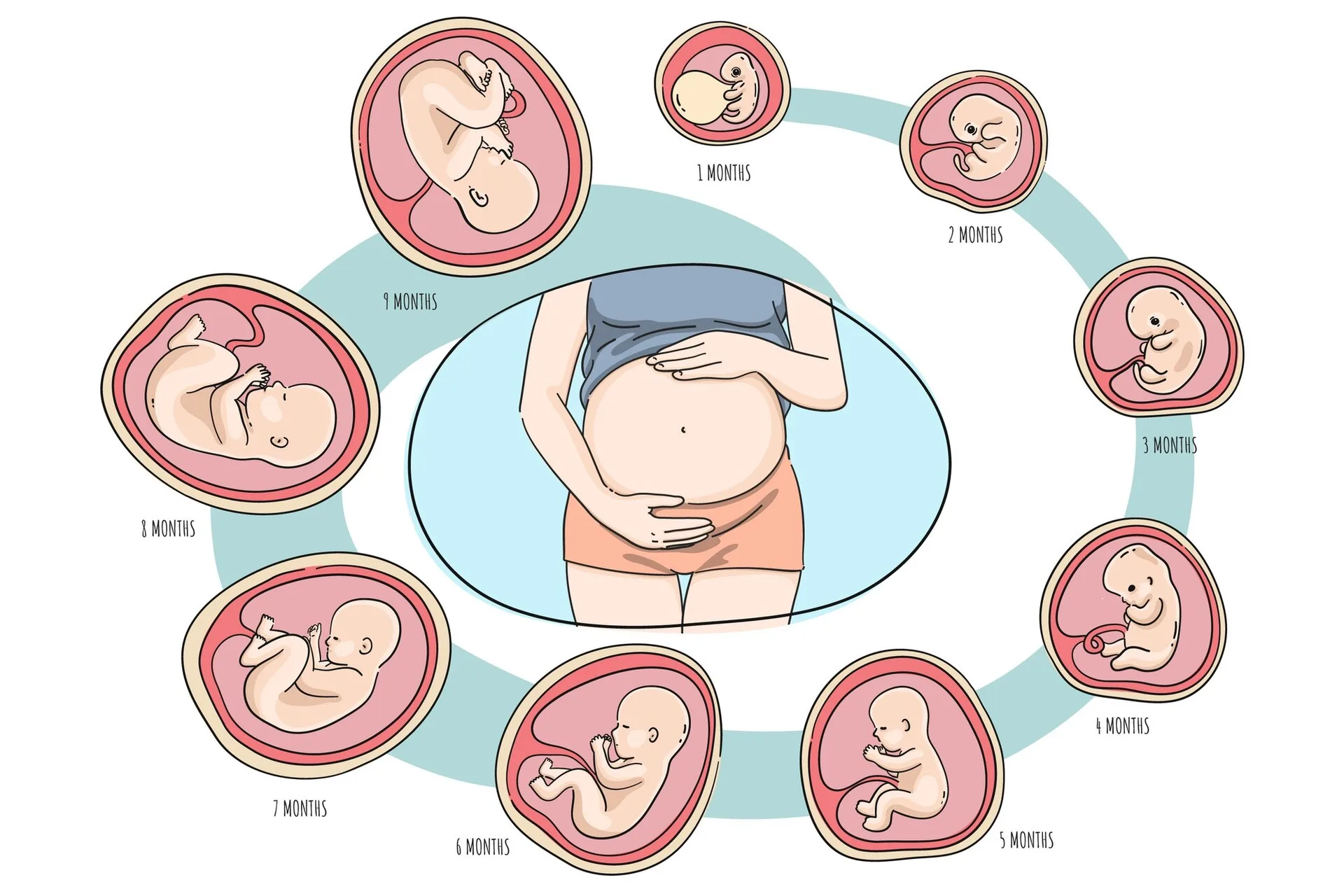 ฝากครรภ์ (ANTENATAL CARE)